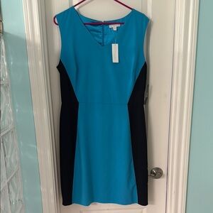 New York & Company Blue and Black Sheath Dress Sleeveless Crew Neck